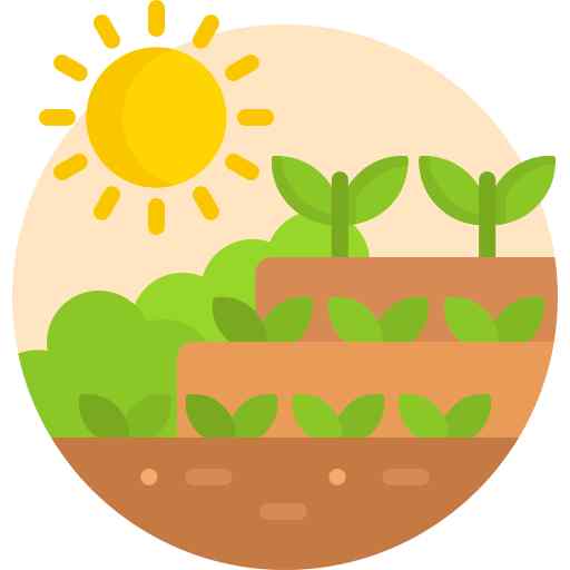 Step Garden in Gurgaon Villa